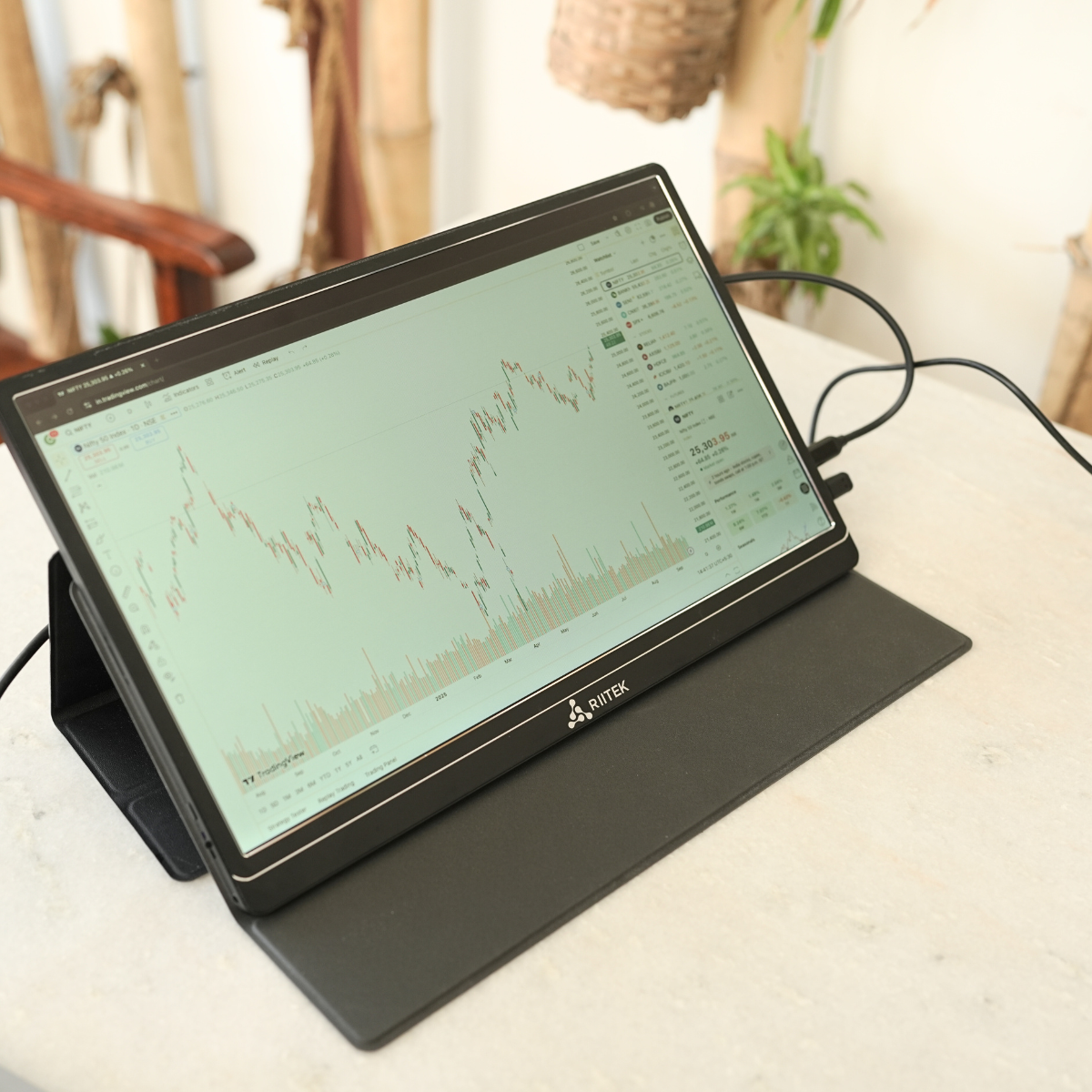 Portable Monitor