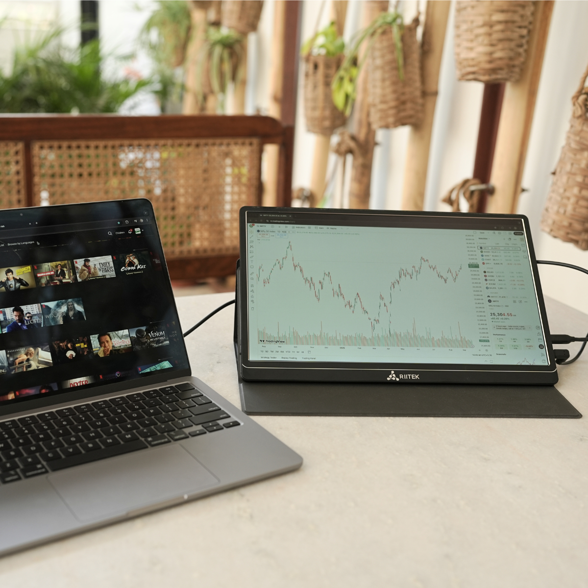 Portable Monitor