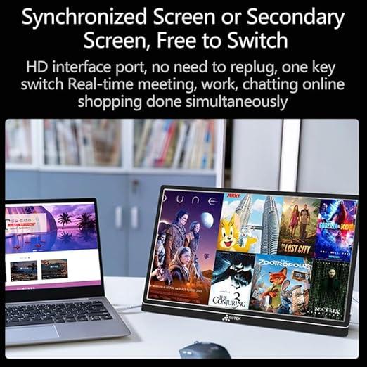 Portable Monitor