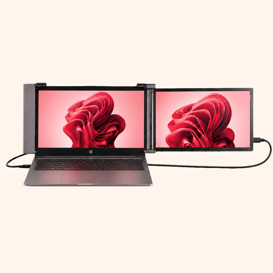 RIITEK 14" Dual-Portable Monitor Laptop Screen Extender Display